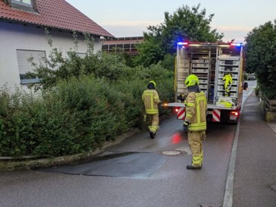Foto des Albums: Übung Tankstelle Zerle