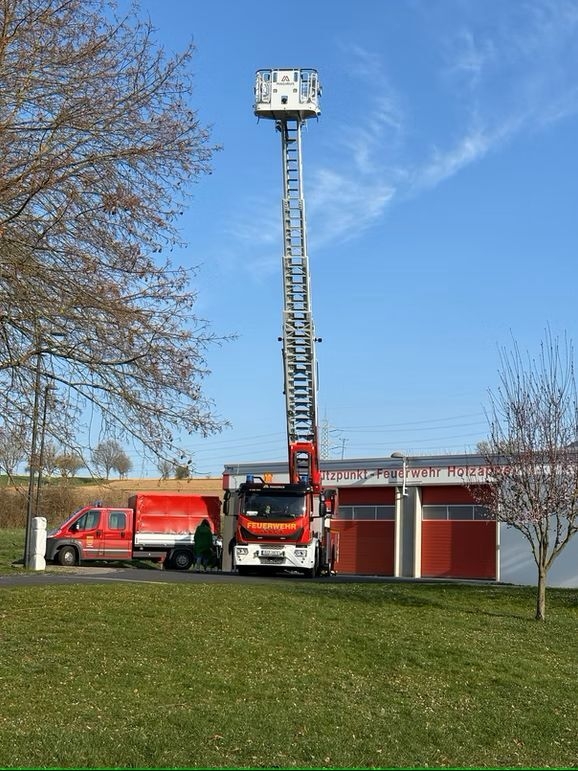 Bild der Galerie