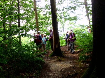 Blick ins Tal  (Bild vergr&ouml;&szlig;ern)
