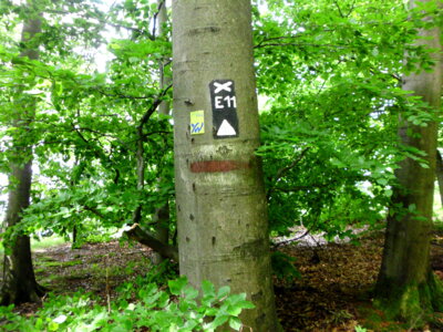 Fernwanderweg E11 von Scheverdingen (NL) bis Tallin (EST)  (Bild vergr&ouml;&szlig;ern)