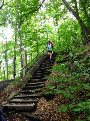 Azf dcer Treppe abw&auml;rts  (Bild vergr&ouml;&szlig;ern)