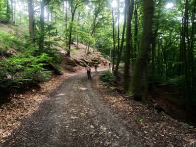 Weiter bergan  (Bild vergr&ouml;&szlig;ern)