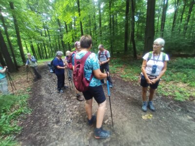 Kammweg  (Bild vergr&ouml;&szlig;ern)