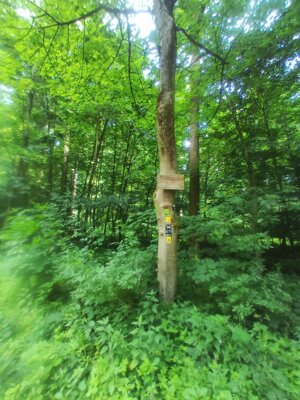 H&ouml;chster Punkt der Wanderung  (Bild vergr&ouml;&szlig;ern)