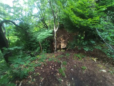 Am Gr&uuml;nen Altar  (Bild vergr&ouml;&szlig;ern)
