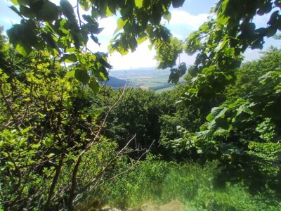 Fernsicht  (Bild vergr&ouml;&szlig;ern)