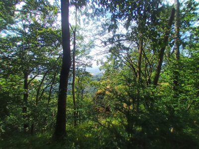 Ein wenig Aussicht  (Bild vergr&ouml;&szlig;ern)