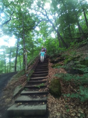 Der Treppenweg  (Bild vergr&ouml;&szlig;ern)