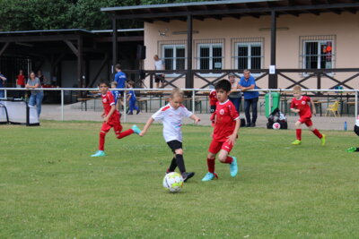 Foto des Albums: Bambiniturnier