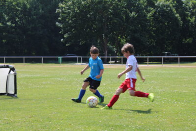 Foto des Albums: Bambiniturnier