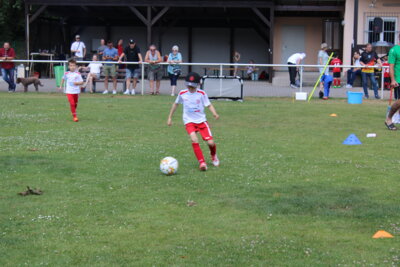 Foto des Albums: Bambiniturnier