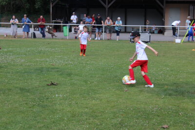 Foto des Albums: Bambiniturnier