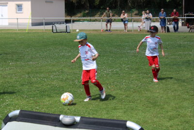 Foto des Albums: Bambiniturnier