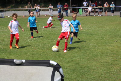 Foto des Albums: Bambiniturnier