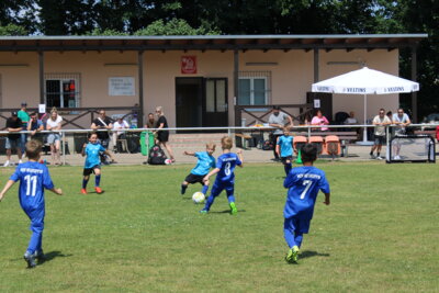 Foto des Albums: Bambiniturnier
