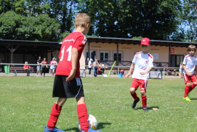 Foto des Albums: Bambiniturnier