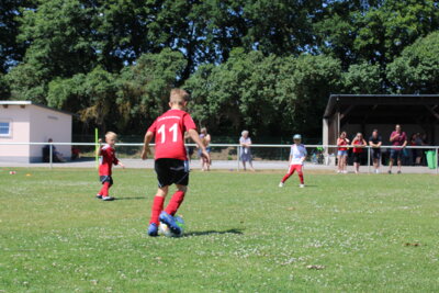Foto des Albums: Bambiniturnier