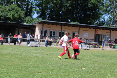 Foto des Albums: Bambiniturnier