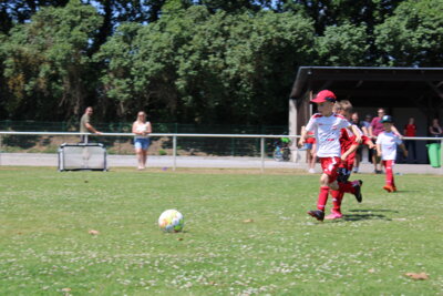 Foto des Albums: Bambiniturnier