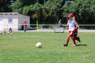 Foto des Albums: Bambiniturnier