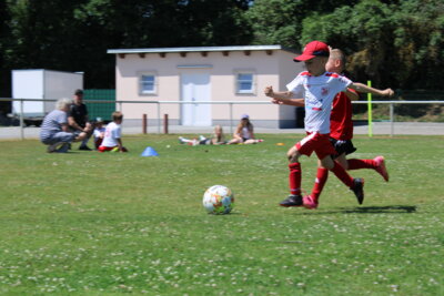 Foto des Albums: Bambiniturnier