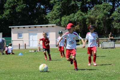 Foto des Albums: Bambiniturnier