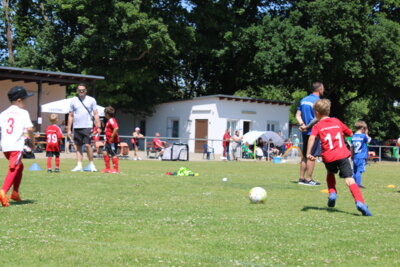 Foto des Albums: Bambiniturnier