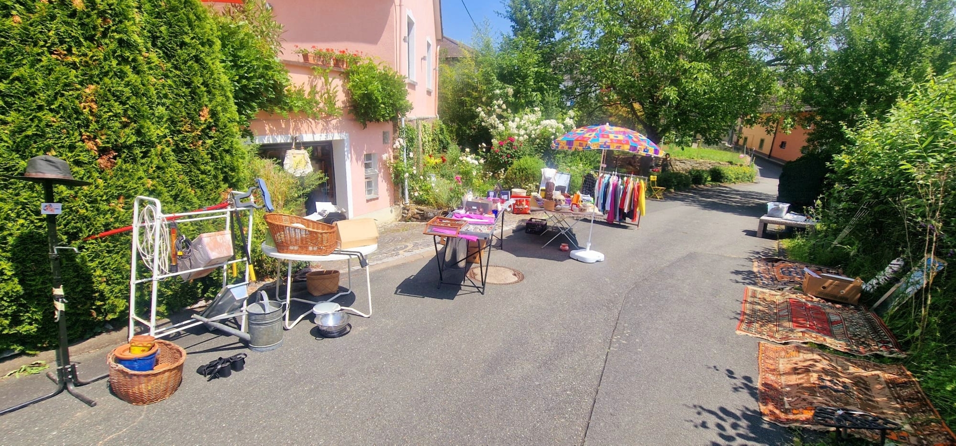 Bild der Galerie