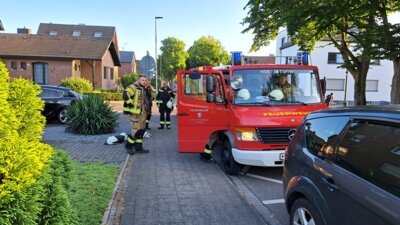 Foto des Albums: Einsatz 26/2025
