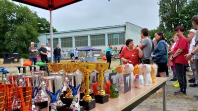Foto des Albums: Special Olympics 2025