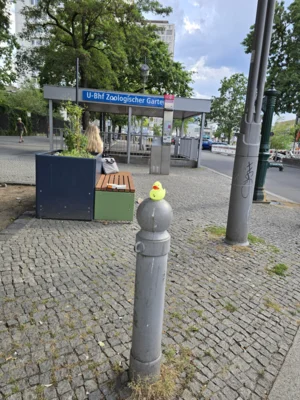 Foto: Sandra Reinert  (Bild vergr&ouml;&szlig;ern)