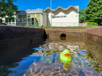 Foto: Sandra Busch  (Bild vergr&ouml;&szlig;ern)