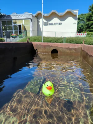 Foto: Sandra Busch  (Bild vergr&ouml;&szlig;ern)