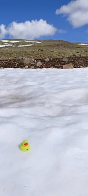 Foto: K&auml;pernick-Buchholz  (Bild vergr&ouml;&szlig;ern)