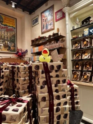 Foto: D. Mohneke  (Bild vergr&ouml;&szlig;ern)