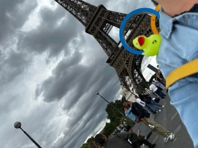 Foto: D. Mohneke  (Bild vergr&ouml;&szlig;ern)