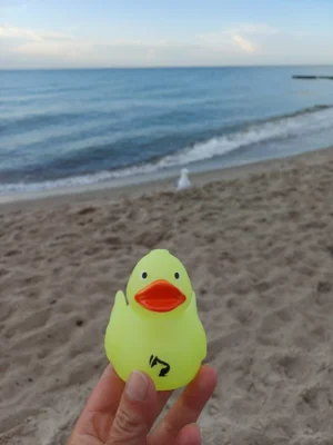 Foto: Jutta He&szlig;  (Bild vergr&ouml;&szlig;ern)