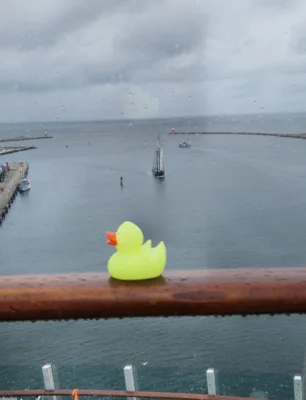 Foto: Birte Utke  (Bild vergr&ouml;&szlig;ern)