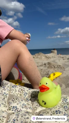 Foto: Eileen Ulbricht  (Bild vergr&ouml;&szlig;ern)