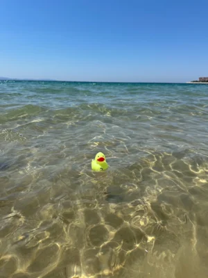 Foto: Lena Lange  (Bild vergr&ouml;&szlig;ern)