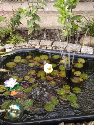 Foto: Ingrid Schulz  (Bild vergr&ouml;&szlig;ern)