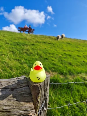 Foto: Heinz Bumke  (Bild vergr&ouml;&szlig;ern)