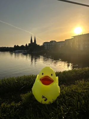 Foto: Lena Lange  (Bild vergr&ouml;&szlig;ern)