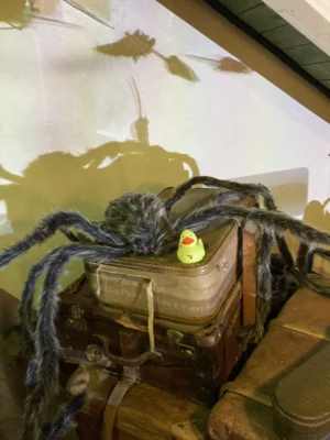 Foto: Franziska Sa&szlig;  (Bild vergr&ouml;&szlig;ern)