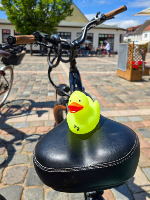 Foto: Franziska Liebing  (Bild vergr&ouml;&szlig;ern)