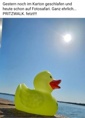 Foto: Katja Vietz  (Bild vergr&ouml;&szlig;ern)