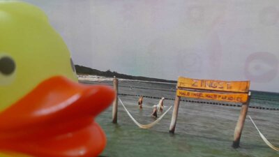 Foto: Kerstin Kalabuchow  (Bild vergr&ouml;&szlig;ern)