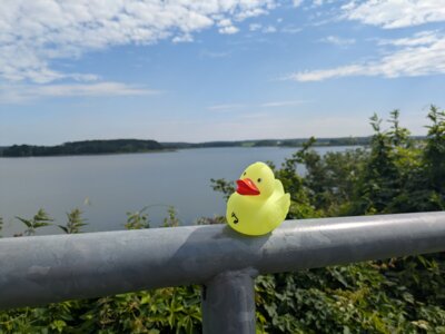 Foto: Nicole Gerstmeier  (Bild vergr&ouml;&szlig;ern)