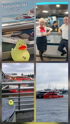 Foto: Gabi Hartwig  (Bild vergr&ouml;&szlig;ern)