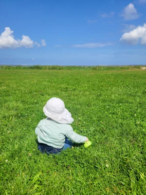 Foto: Ramona Br&auml;utigam  (Bild vergr&ouml;&szlig;ern)